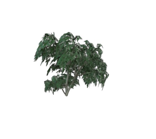 free 3d models Tree 3D  based in Low Poly style.